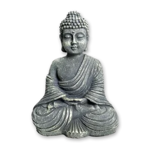 Buda Dhynana